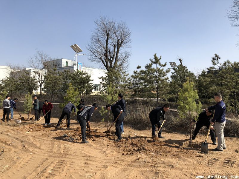 相约绿色——神木分公司开展植树节运动