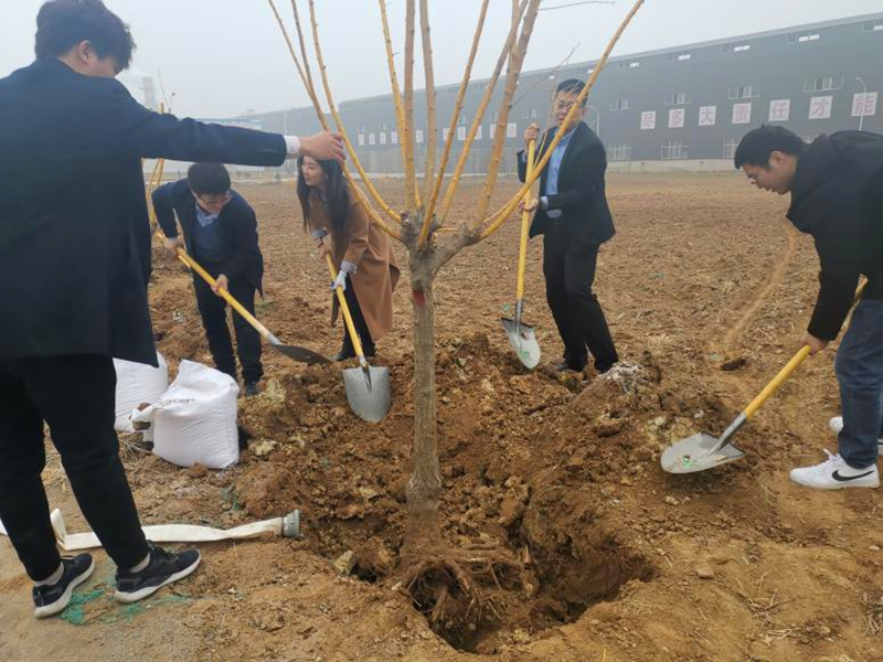 高邑公司开展“树生态理念 建绿色家园”植树运动