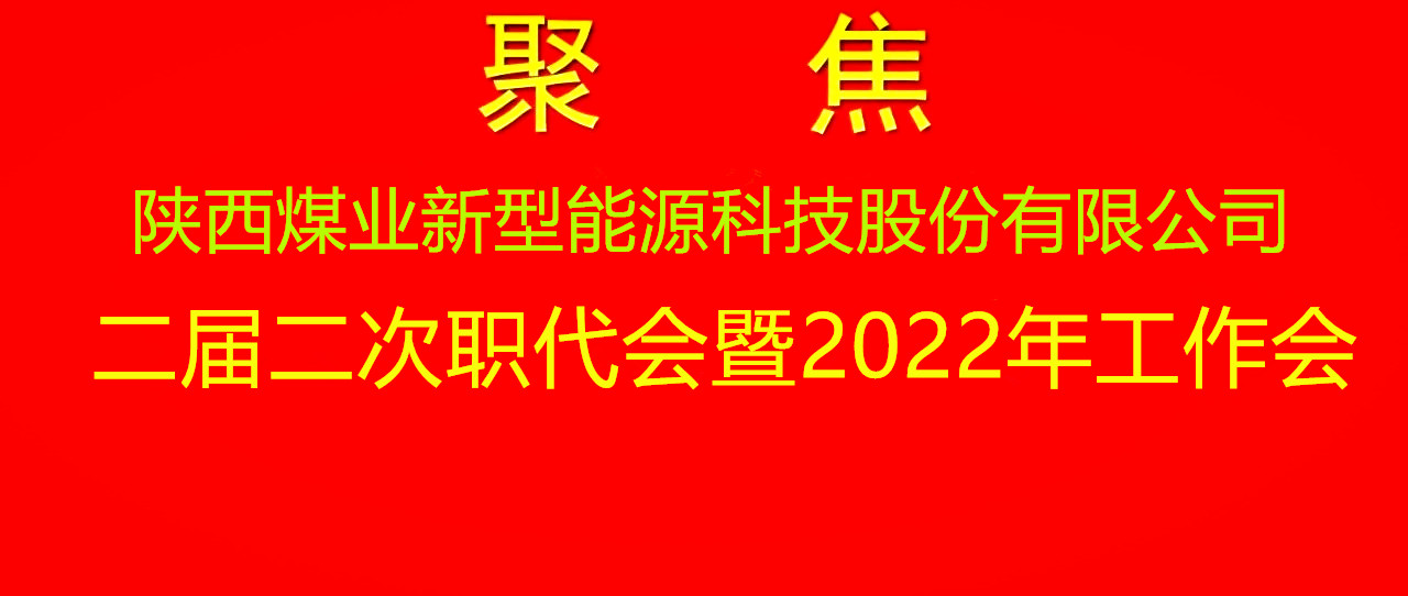 新型能源公司以书面形式召开二届二次职代会暨2022年岁情会