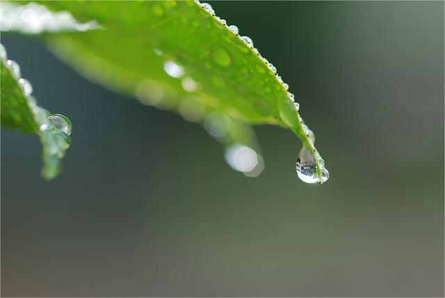 肖倩倩 诗歌——《四月的雨》